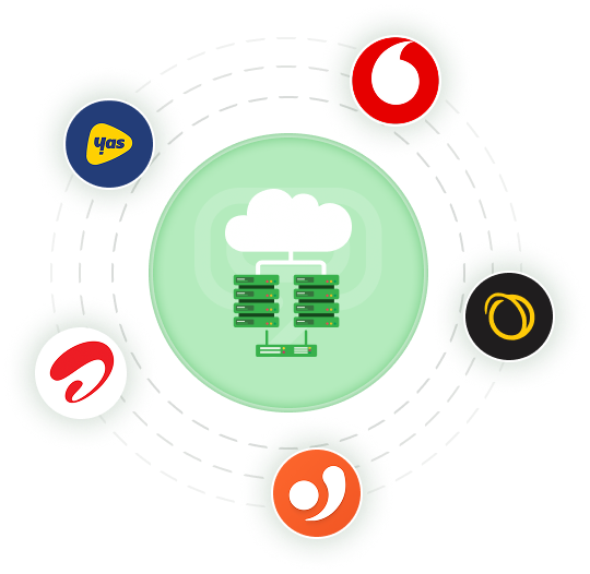 Tanzania Local Partners